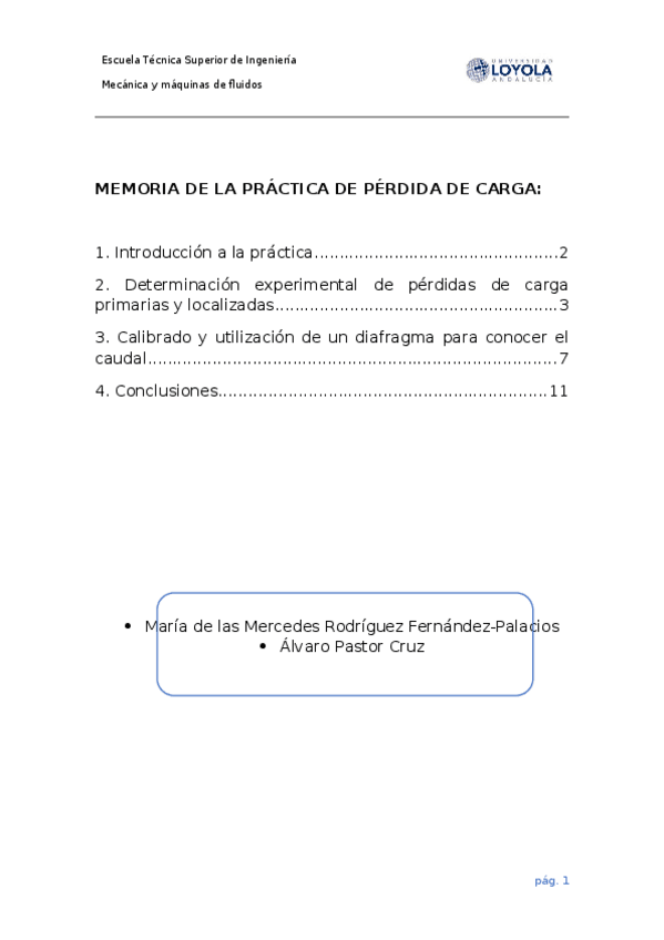 Miniatura del documento MEMORIA-PERDIDA-DE-CARGA.docx