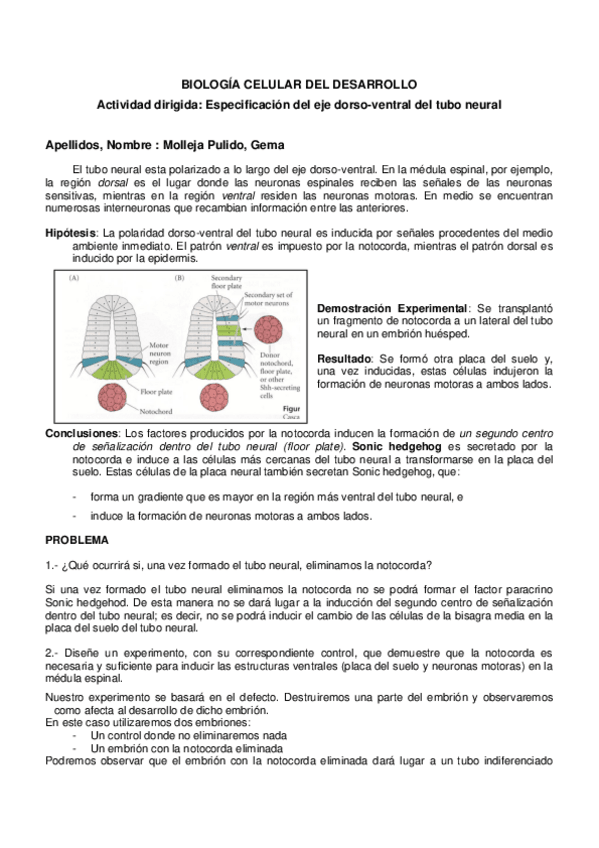 Miniatura del documento AD-Notocorda-2021-7.pdf