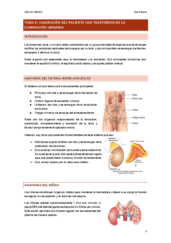 Miniatura del documento Tema-4.pdf