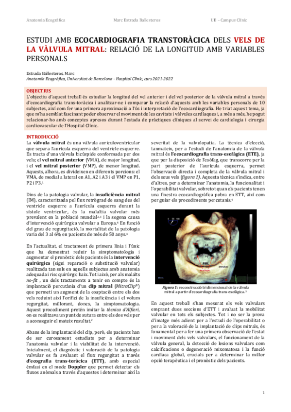 Miniatura del documento VELS-MITRALS-MARC-ESTRADA.pdf