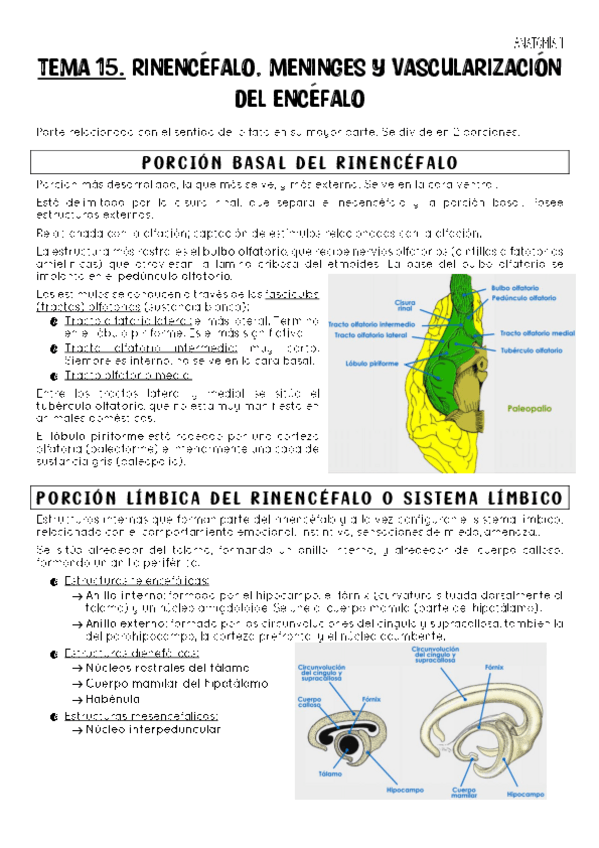 Miniatura del documento TEMA-15.pdf