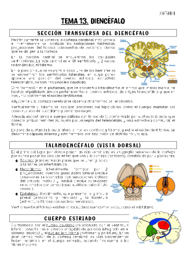 Miniatura del documento TEMA-13.pdf