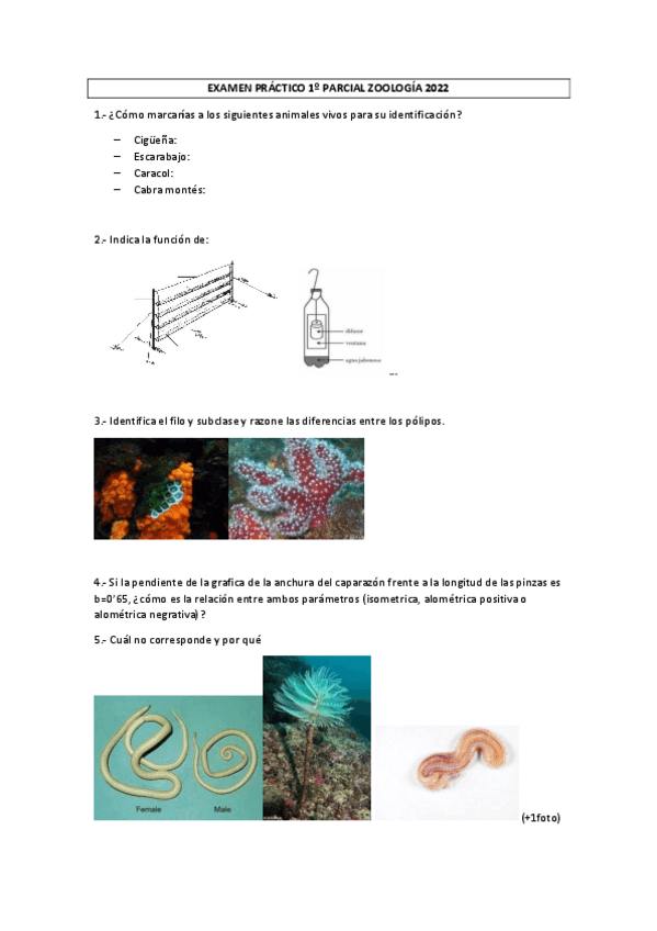 Miniatura del documento EXAMEN-PRACTICO-1o-PARCIAL-ZOOLOGIA-2022.pdf