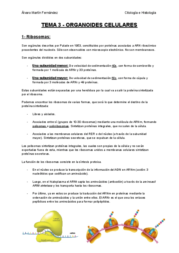 Miniatura del documento TEMA-3-ORGANOIDES-CELULARES.pdf