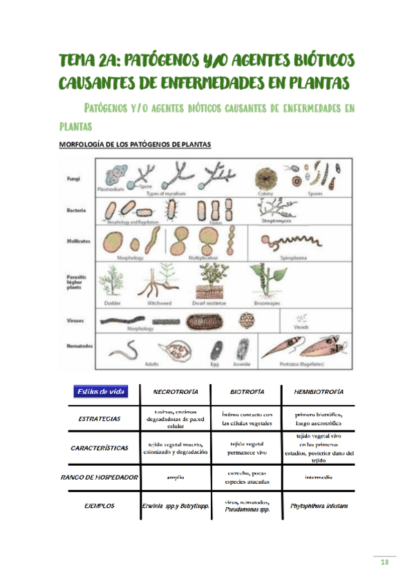 Miniatura del documento ilovepdfmerged-1.pdf
