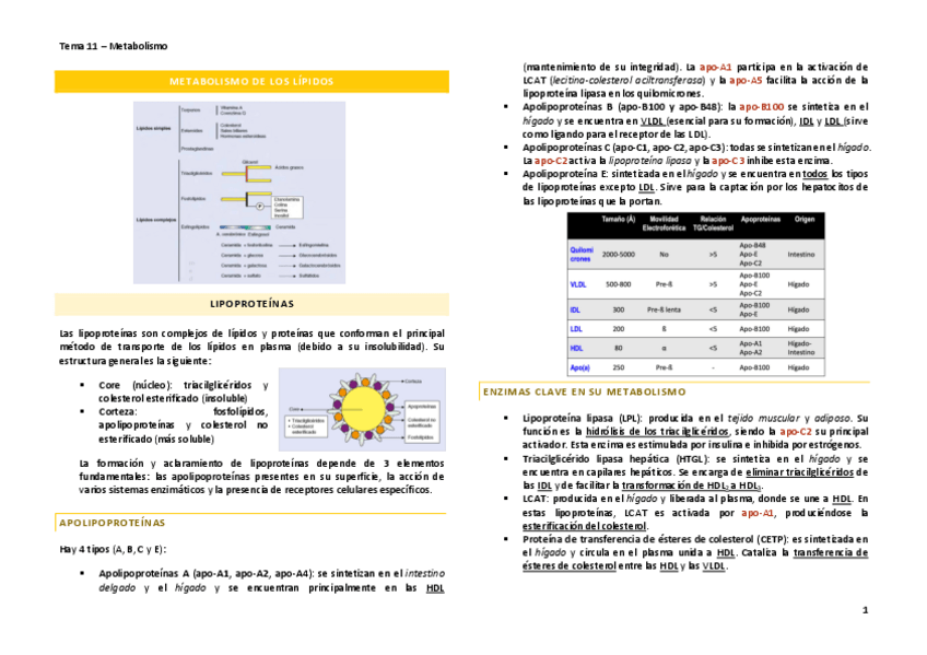 Miniatura del documento Capitulo-64pdf.pdf