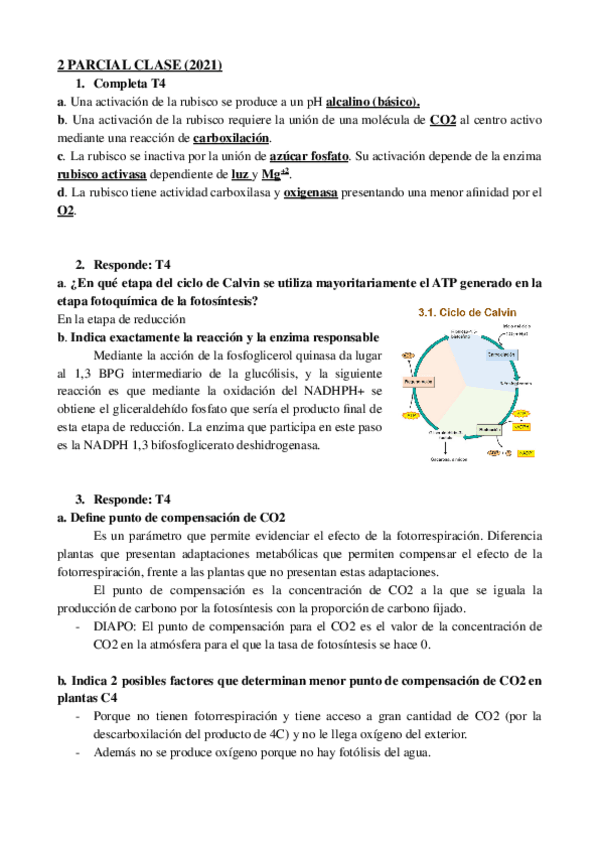 Miniatura del documento Preguntas-Vegetal.pdf