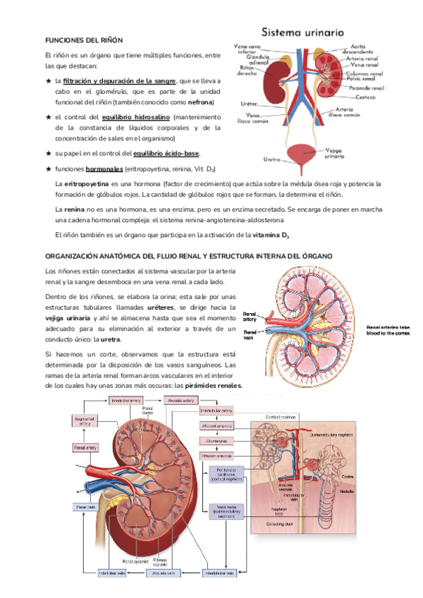 Miniatura del documento T18.pdf