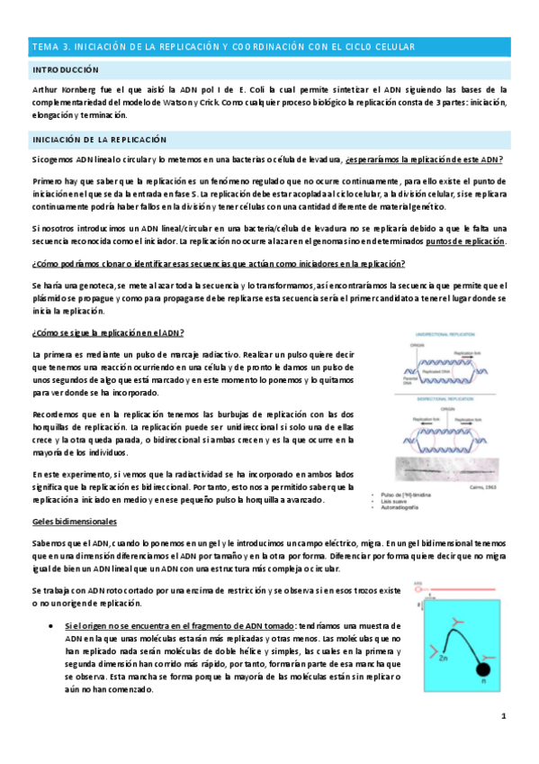 Miniatura del documento Tema-3.pdf