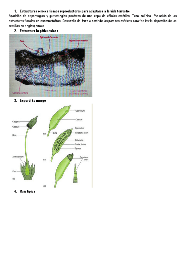 Miniatura del documento Examenes-botanica-II.pdf