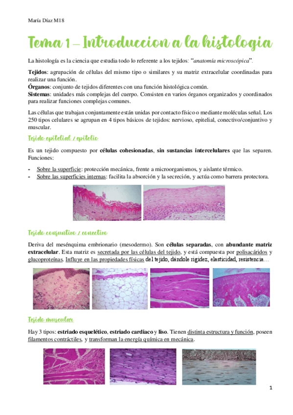 Miniatura del documento t1.pdf