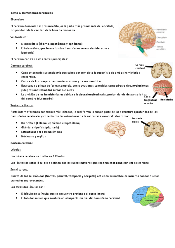 Miniatura del documento Tema-8.pdf