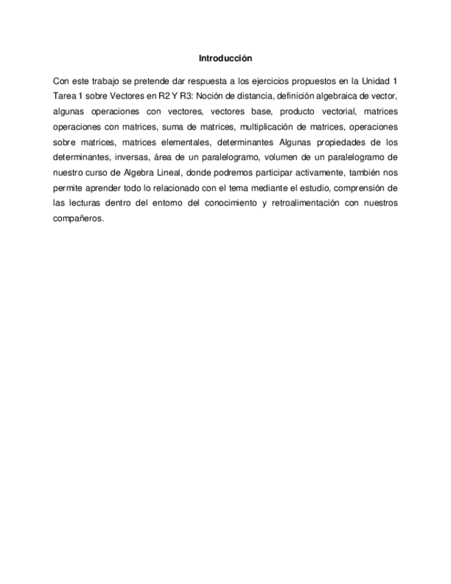 Miniatura del documento informe-vectores-matrices-y-determinantes.pdf