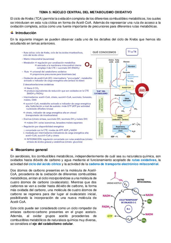 Miniatura del documento tema-5-regulacion.pdf