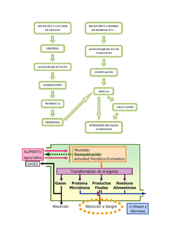 Miniatura del documento Tablas-nutricion.pdf