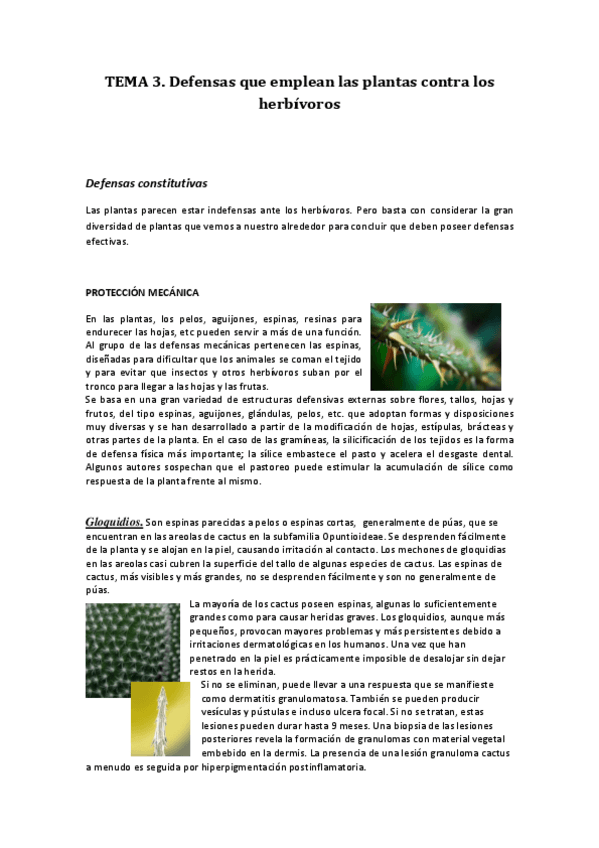 Miniatura del documento TEMA 3 avances en botanica.pdf