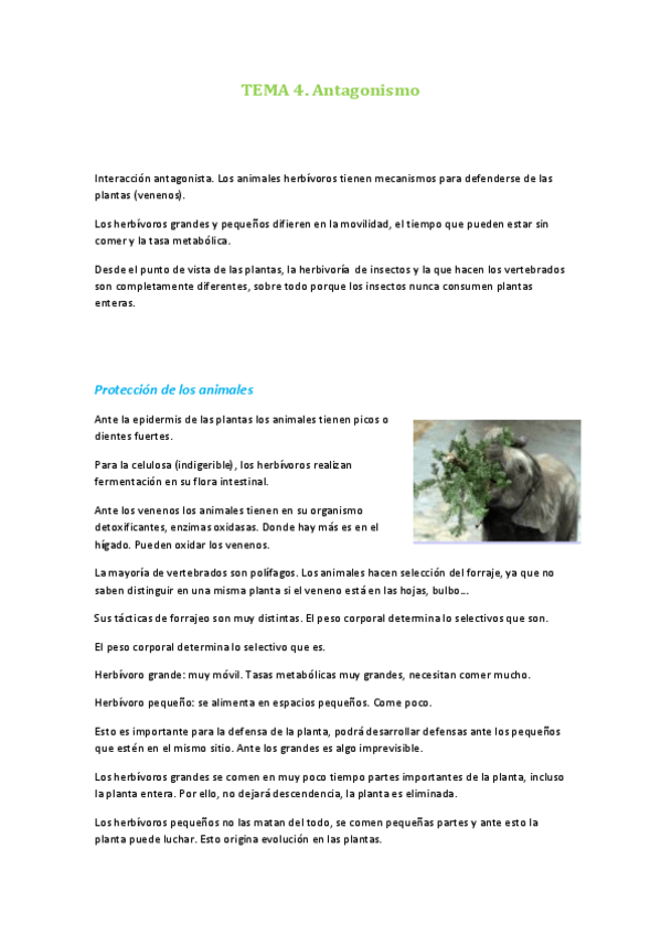 Miniatura del documento TEMA 4 avances en botanica.pdf