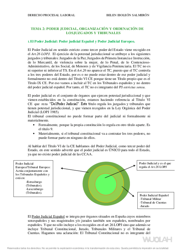 Miniatura del documento TEMA-2-Y-3-PROCESAL-LABORAL.pdf