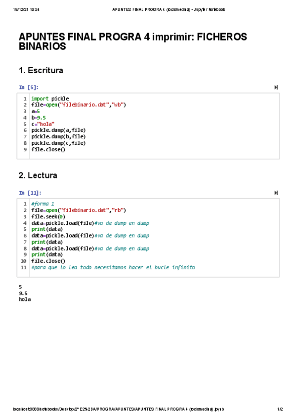 Miniatura del documento APUNTES-FINAL-PROGRA-4-rociomedina-Jupyter-Notebook.pdf