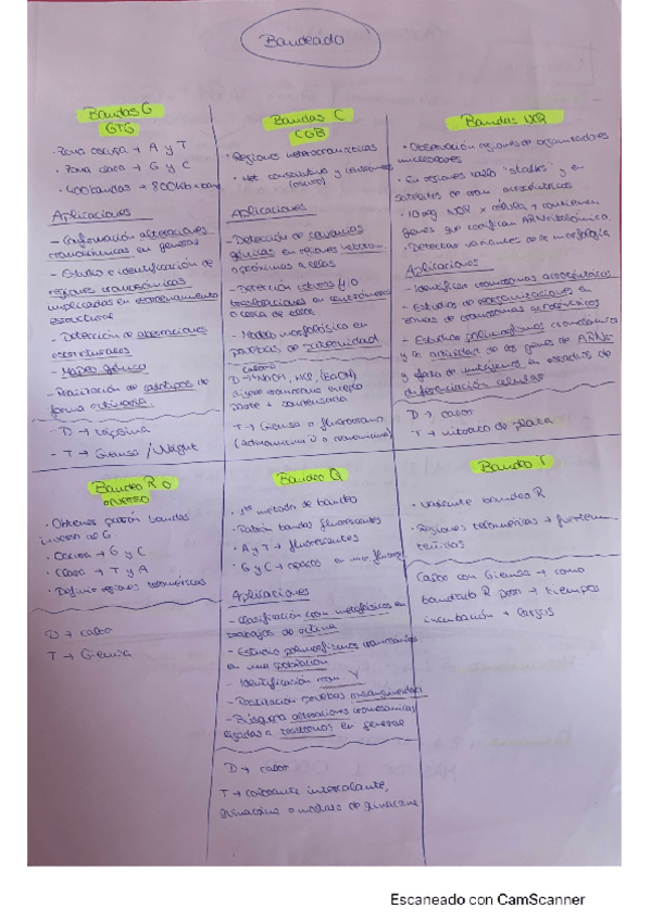 Miniatura del documento tipos-de-bandeado.pdf