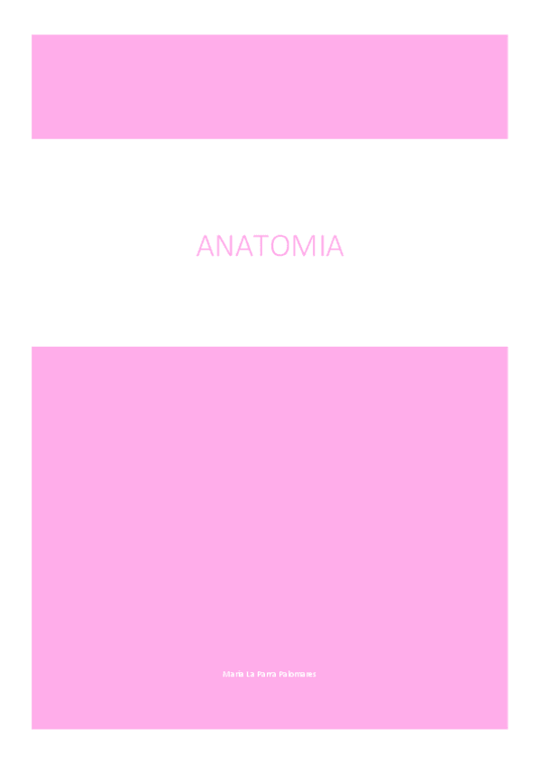 Miniatura del documento TEMARIO.pdf