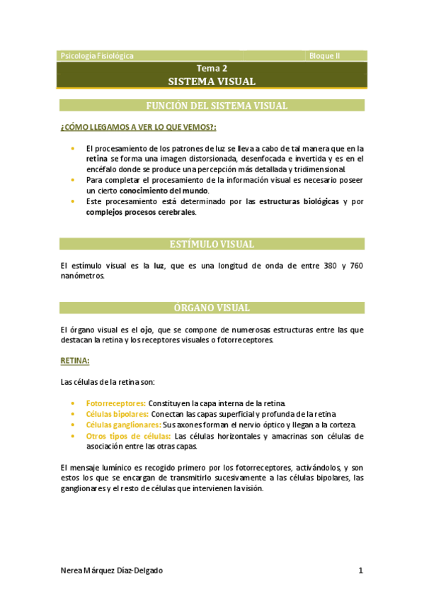 Miniatura del documento Tema-2-Sistema-visual.pdf