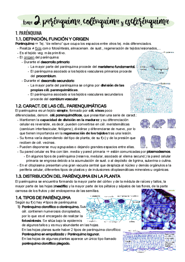 Miniatura del documento Tema-2.pdf