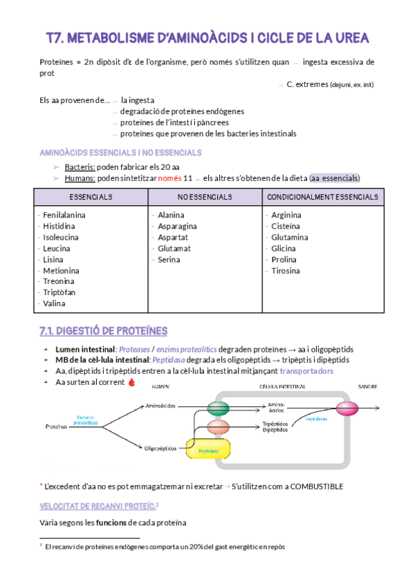 Miniatura del documento T7.pdf