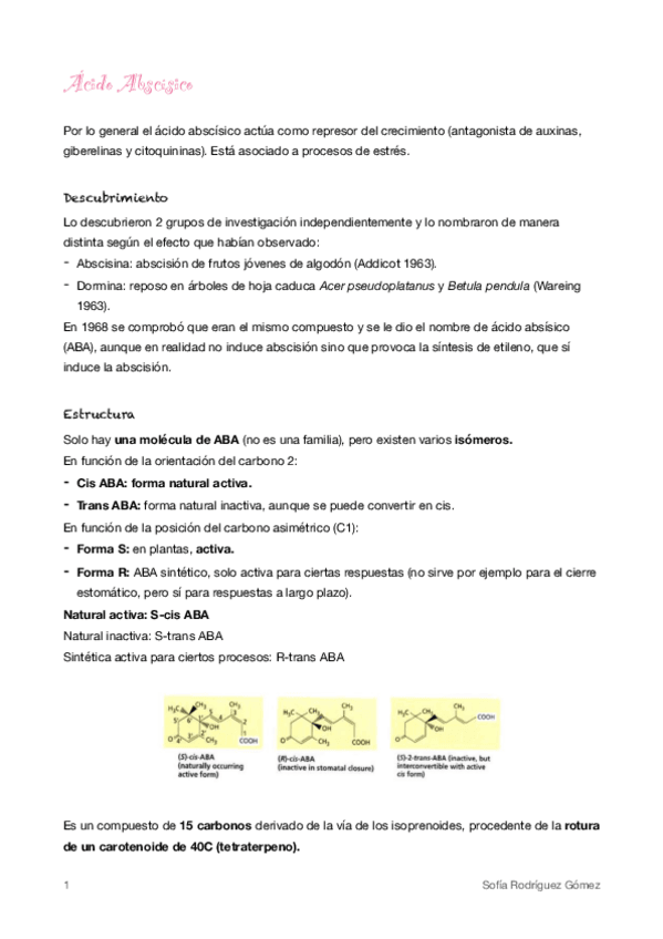 Miniatura del documento 6-ABA.pdf