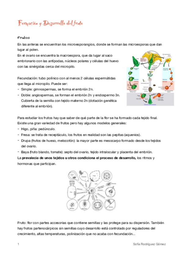 Miniatura del documento 12-Formacion-y-desarrollo-del-fruto.pdf