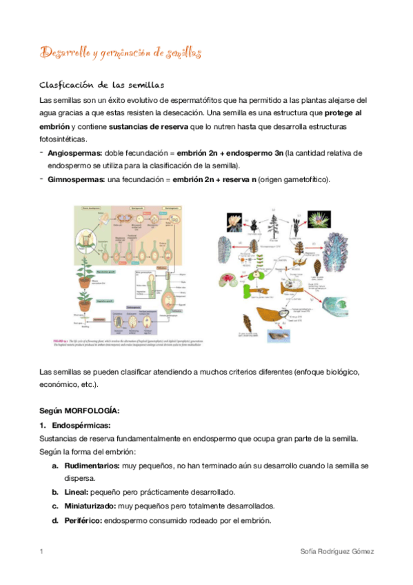Miniatura del documento 13-Desarrollo-y-germinacion-de-semillas.pdf