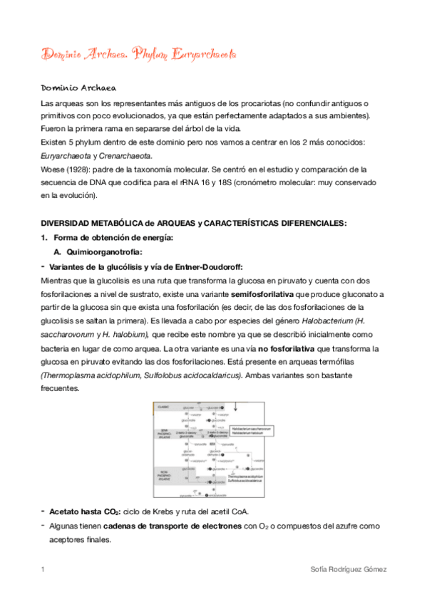 Miniatura del documento 2-Phylum-Euryarchaeota.pdf