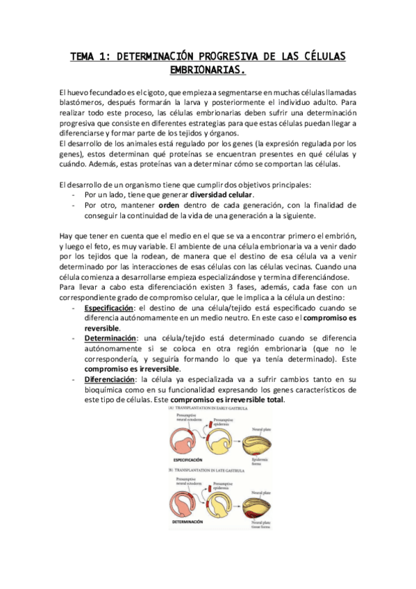 Miniatura del documento Primer-parcial-T1-T9.pdf