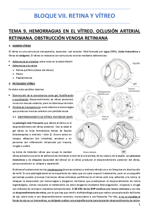 Miniatura del documento BLOQUE-VII-RETINA-Y-VITREO.pdf