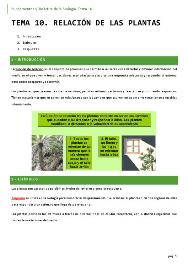 Miniatura del documento 10-relacion-de-las-plantas.pdf