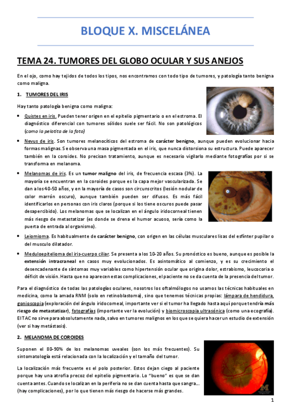 Miniatura del documento BLOQUE-X-MISCELANEA.pdf