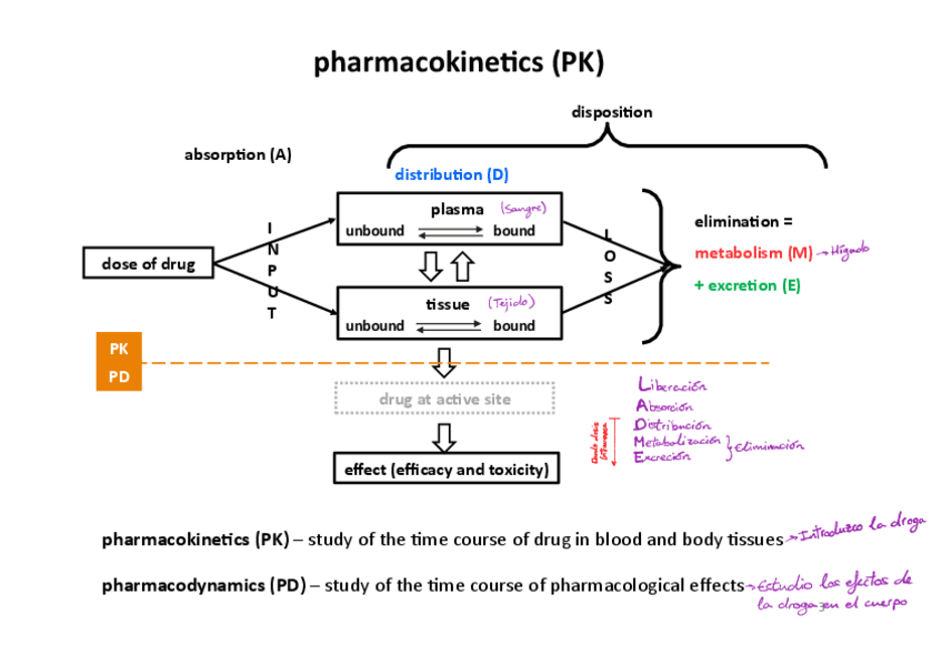Miniatura del documento Control-Tema-4.pdf