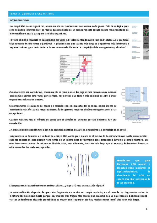Miniatura del documento Tema-2.pdf