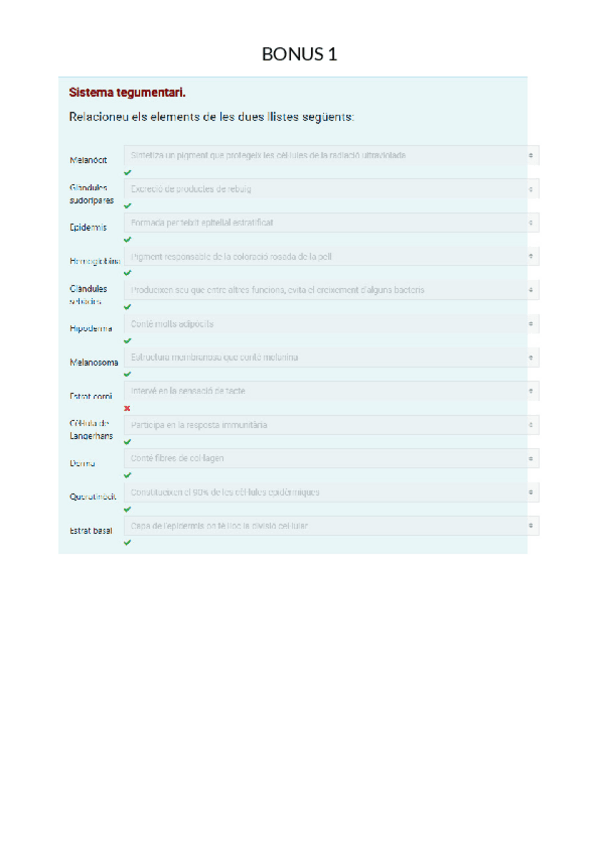 Miniatura del documento BONUS-1.pdf