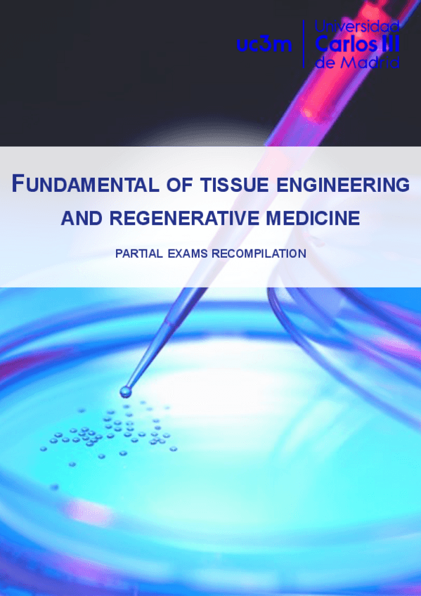 Miniatura del documento ExamsNotes.pdf