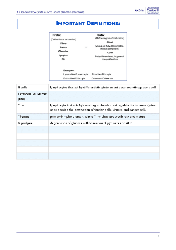 Miniatura del documento TheoryNotes.pdf