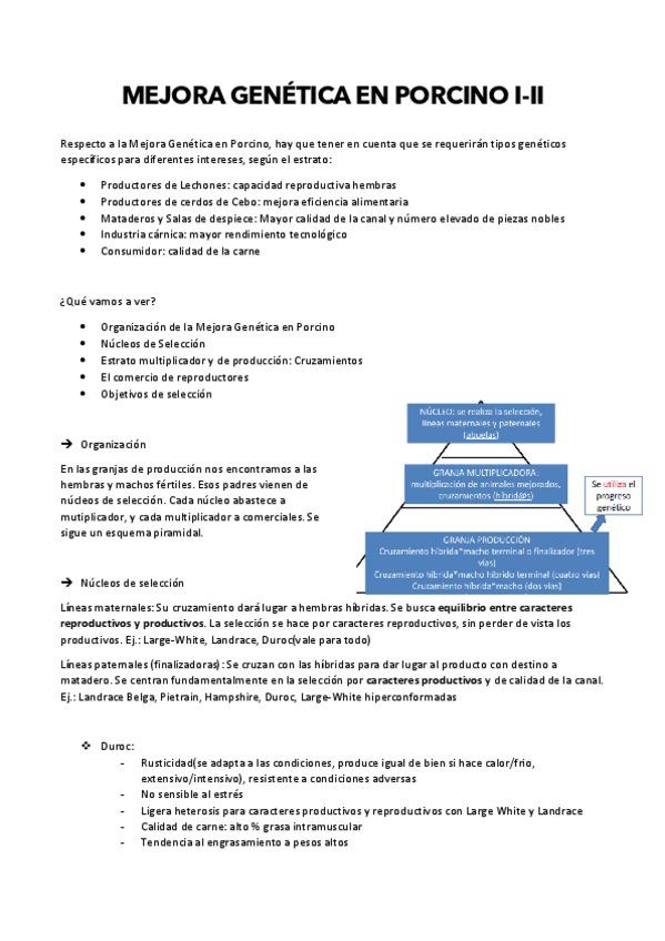 Miniatura del documento GENETICA-PORCINO.pdf