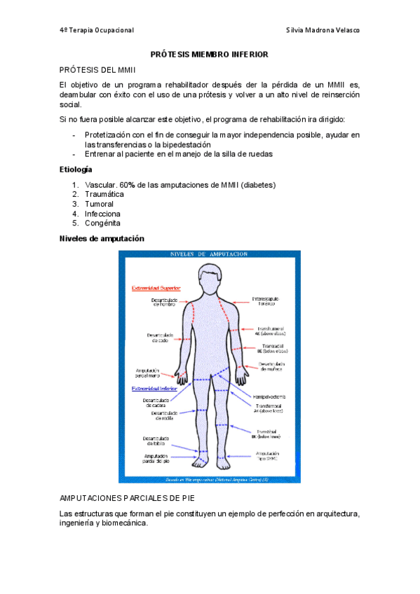 Miniatura del documento Protesis-MMII.pdf
