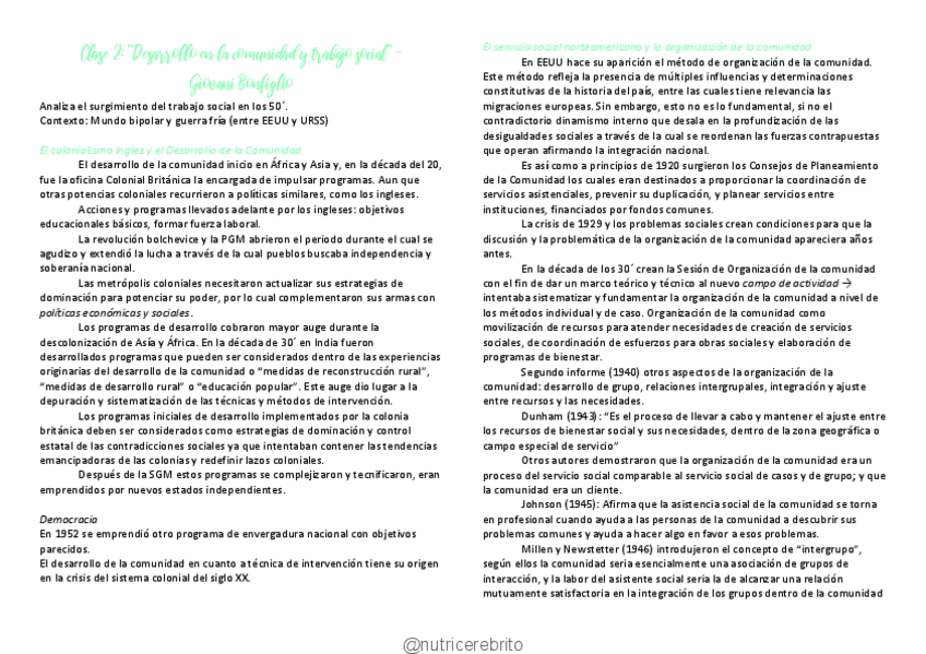 Miniatura del documento Desarrollo-2-Bonfliglio-Nutricerebrito.pdf
