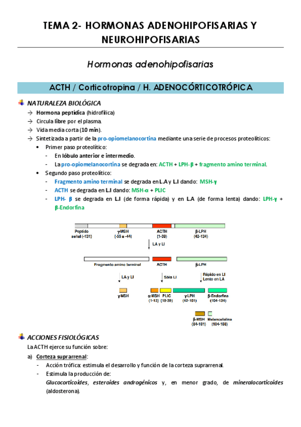 Miniatura del documento TEMA-2.pdf
