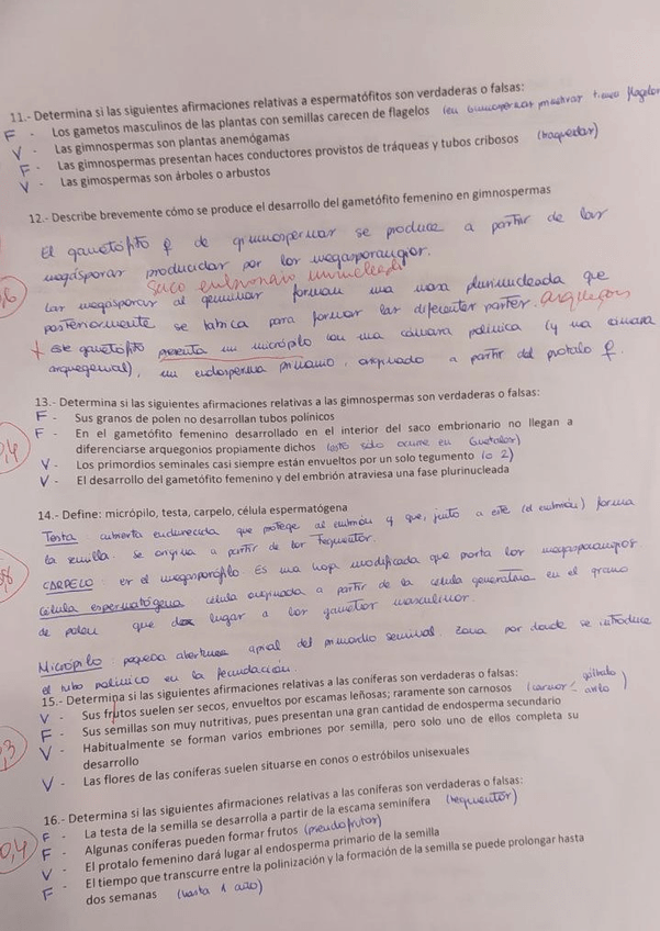 Miniatura del documento 2do-parcial-bot-4.jpg