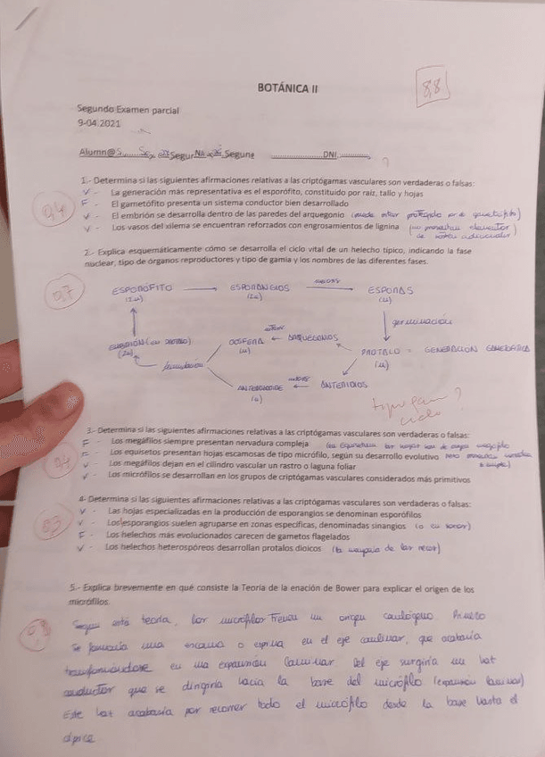 Miniatura del documento 2do-parcial-bot-1.jpg