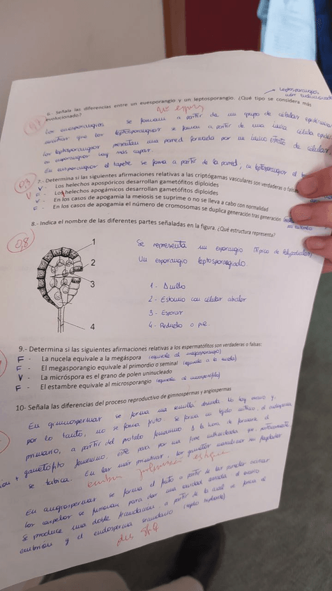 Miniatura del documento 2do-parcial-bot-2.jpg