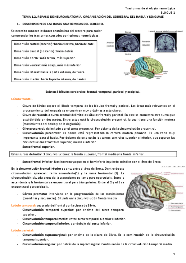 Miniatura del documento Tem-1.2.pdf