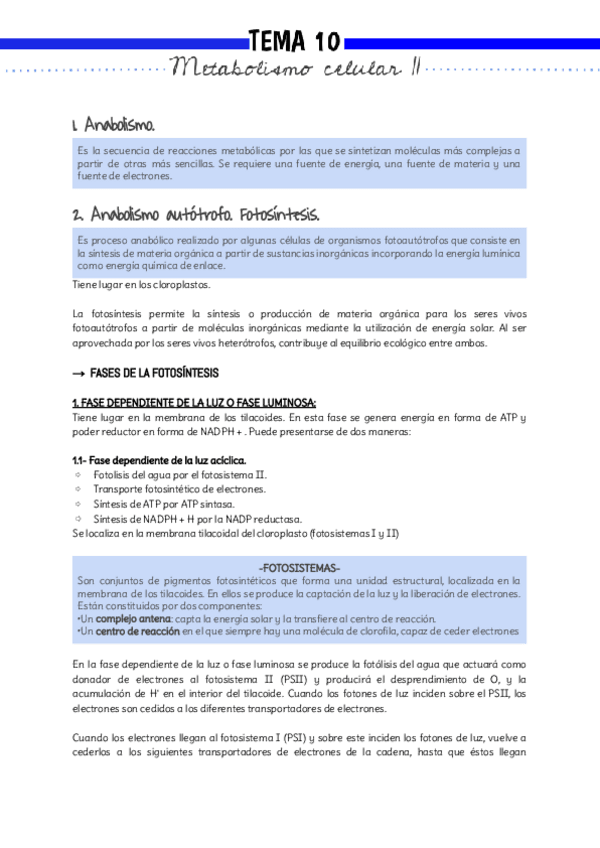 Miniatura del documento Bio-Tema-10-1.pdf